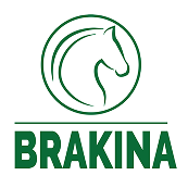 Brakina